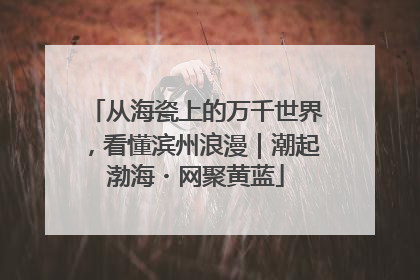 从海瓷上的万千世界，看懂滨州浪漫｜潮起渤海・网聚黄蓝