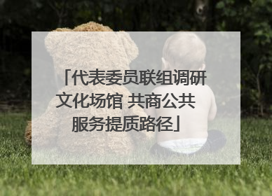 代表委员联组调研文化场馆 共商公共服务提质路径