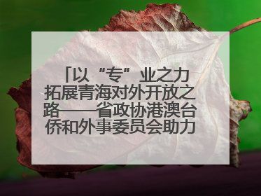 以“专”业之力 拓展青海对外开放之路——省政协港澳台侨和外事委员会助力我省高水平开放和高质量发展