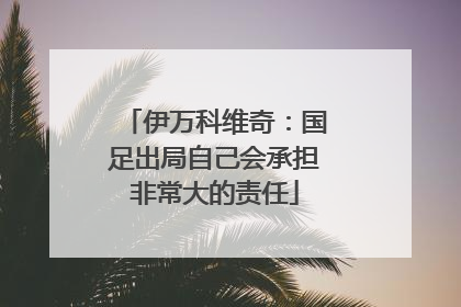 伊万科维奇：国足出局自己会承担非常大的责任
