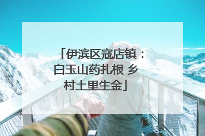 伊滨区寇店镇：白玉山药扎根 乡村土里生金