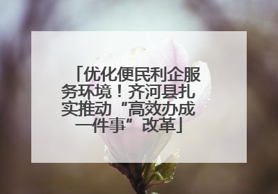 优化便民利企服务环境！齐河县扎实推动“高效办成一件事”改革