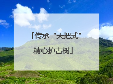 传承“天把式” 精心护古树