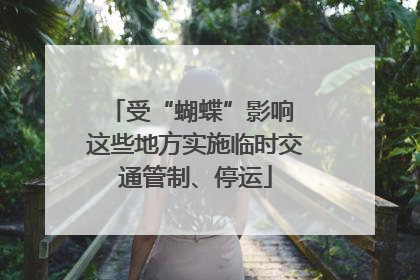 受“蝴蝶”影响 这些地方实施临时交通管制、停运