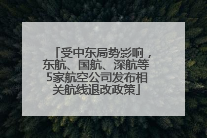 受中东局势影响，东航、国航、深航等5家航空公司发布相关航线退改政策