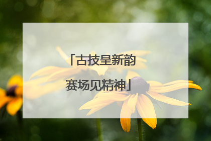 古技呈新韵 赛场见精神