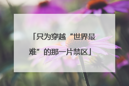 只为穿越“世界最难”的那一片禁区
