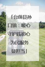 台前县孙口镇：暖心守护践初心 为民服务显担当