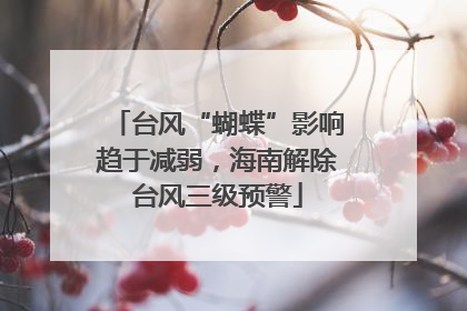 台风“蝴蝶”影响趋于减弱，海南解除台风三级预警