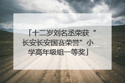 十二岁刘名丞荣获“长安长安国赛荣誉”小学高年级组一等奖