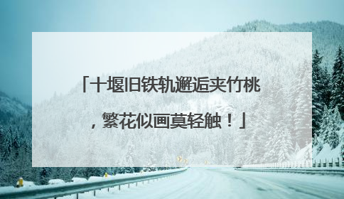 十堰旧铁轨邂逅夹竹桃，繁花似画莫轻触！