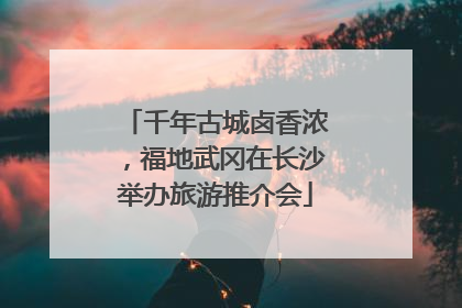 千年古城卤香浓，福地武冈在长沙举办旅游推介会