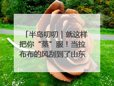 半岛叨叨｜就这样把你“蒸”服！当拉布布的风刮到了山东馒头界……