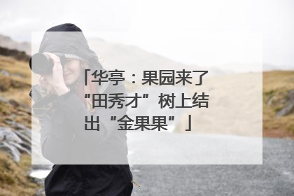 华亭：果园来了“田秀才”树上结出“金果果”