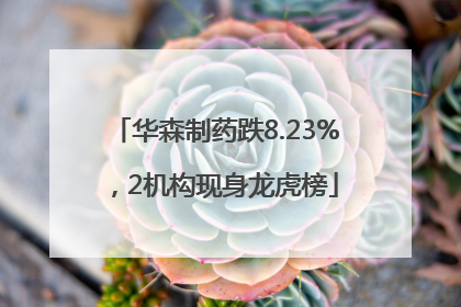 华森制药跌8.23%，2机构现身龙虎榜