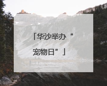 华沙举办“宠物日”