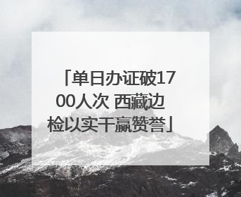 单日办证破1700人次 西藏边检以实干赢赞誉