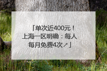 单次近400元！上海一区明确：每人每月免费4次↗