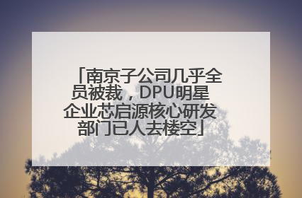 南京子公司几乎全员被裁，DPU明星企业芯启源核心研发部门已人去楼空