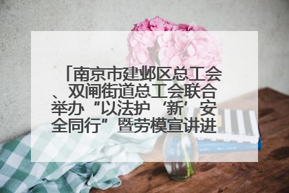 南京市建邺区总工会、双闸街道总工会联合举办“以法护‘新’安全同行”暨劳模宣讲进工地服务活动