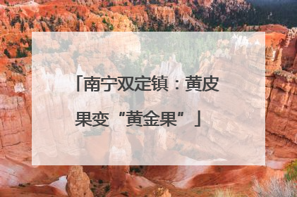 南宁双定镇：黄皮果变“黄金果”