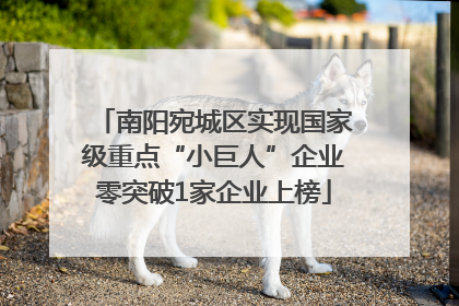 南阳宛城区实现国家级重点“小巨人”企业零突破1家企业上榜