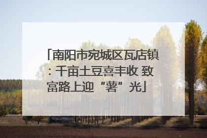 南阳市宛城区瓦店镇：千亩土豆喜丰收 致富路上迎“薯”光