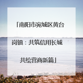 南阳市宛城区黄台岗镇：共筑信用长城 共绘营商新篇