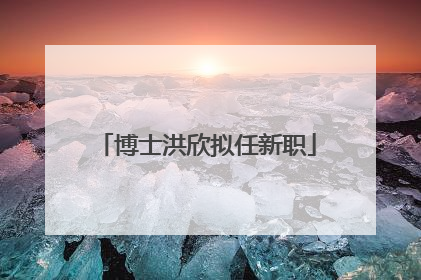 博士洪欣拟任新职