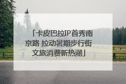 卡皮巴拉IP首秀南京路 拉动暑期步行街文旅消费新热潮