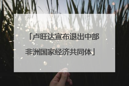 卢旺达宣布退出中部非洲国家经济共同体