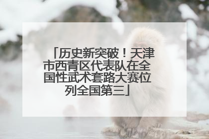 历史新突破！天津市西青区代表队在全国性武术套路大赛位列全国第三