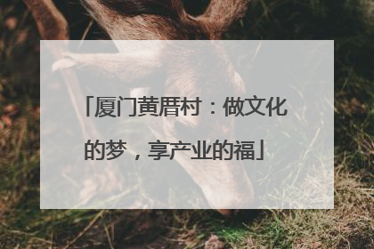厦门黄厝村：做文化的梦，享产业的福