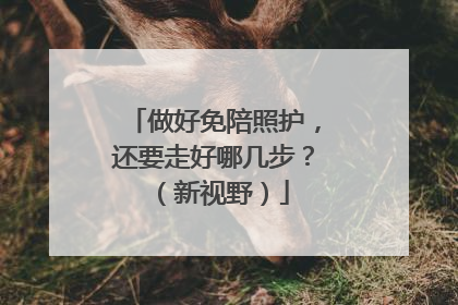 做好免陪照护,还要走好哪几步?(新视野)