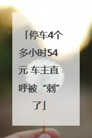 停车4个多小时54元 车主直呼被“刺”了