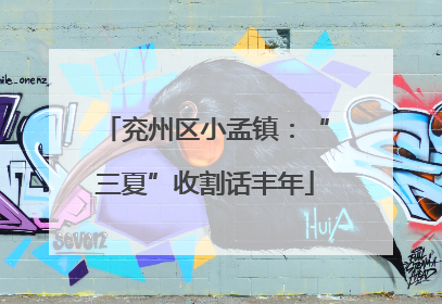 兖州区小孟镇：“三夏”收割话丰年