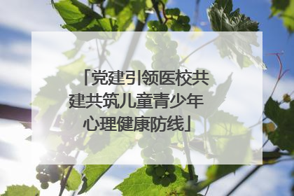 党建引领医校共建共筑儿童青少年心理健康防线