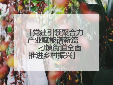 党建引领聚合力 产业赋能谱新篇——刁镇街道全面推进乡村振兴
