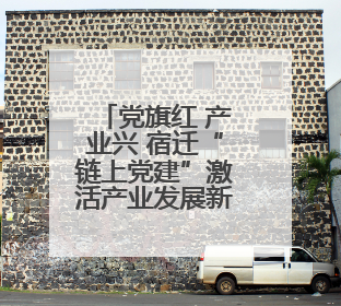 党旗红 产业兴 宿迁“链上党建”激活产业发展新动能