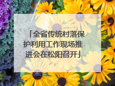 全省传统村落保护利用工作现场推进会在松阳召开