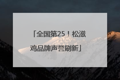 全国第25！松滋鸡品牌声誉刷新