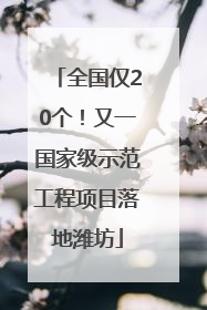 全国仅20个！又一国家级示范工程项目落地潍坊