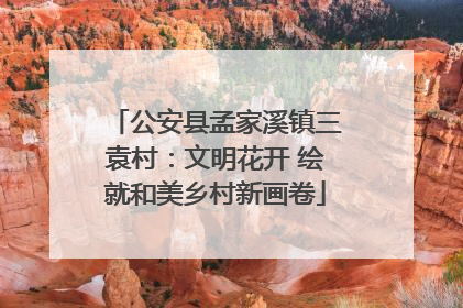 公安县孟家溪镇三袁村：文明花开 绘就和美乡村新画卷