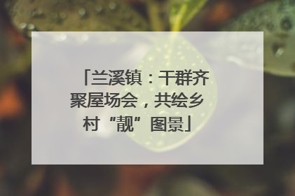 兰溪镇：干群齐聚屋场会，共绘乡村“靓”图景