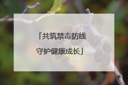 共筑禁毒防线 守护健康成长