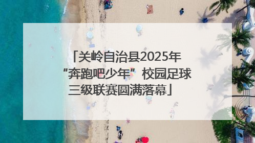 关岭自治县2025年“奔跑吧少年”校园足球三级联赛圆满落幕
