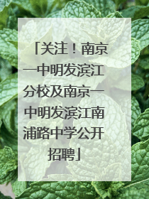 关注！南京一中明发滨江分校及南京一中明发滨江南浦路中学公开招聘
