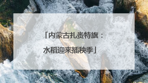 内蒙古扎赉特旗：水稻迎来插秧季