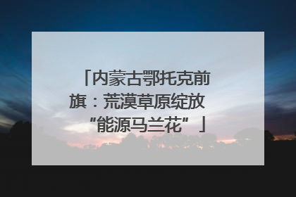 内蒙古鄂托克前旗：荒漠草原绽放“能源马兰花”