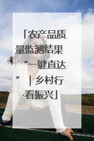 农产品质量监测结果“一键直达”｜乡村行·看振兴
